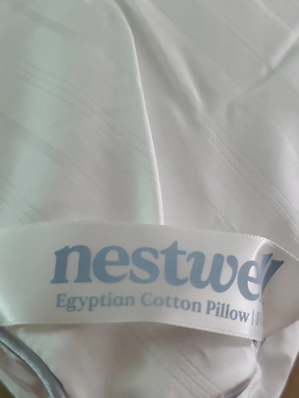 New Nestwell Egyption Cotton Firm Support Standard/Queen 1 Pillow.